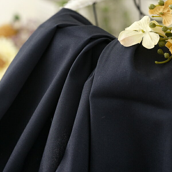 �̾����55�ߢ�41�ߤˤ��Ͳ�������1m�ʾ�/10cmñ�̡ۡ���������125cm�ۥ졼���ݥץ��2WAY���ȥ�å��ڥ��顼���ͥ��ӡ���[NV][̵��][���ϡ�...