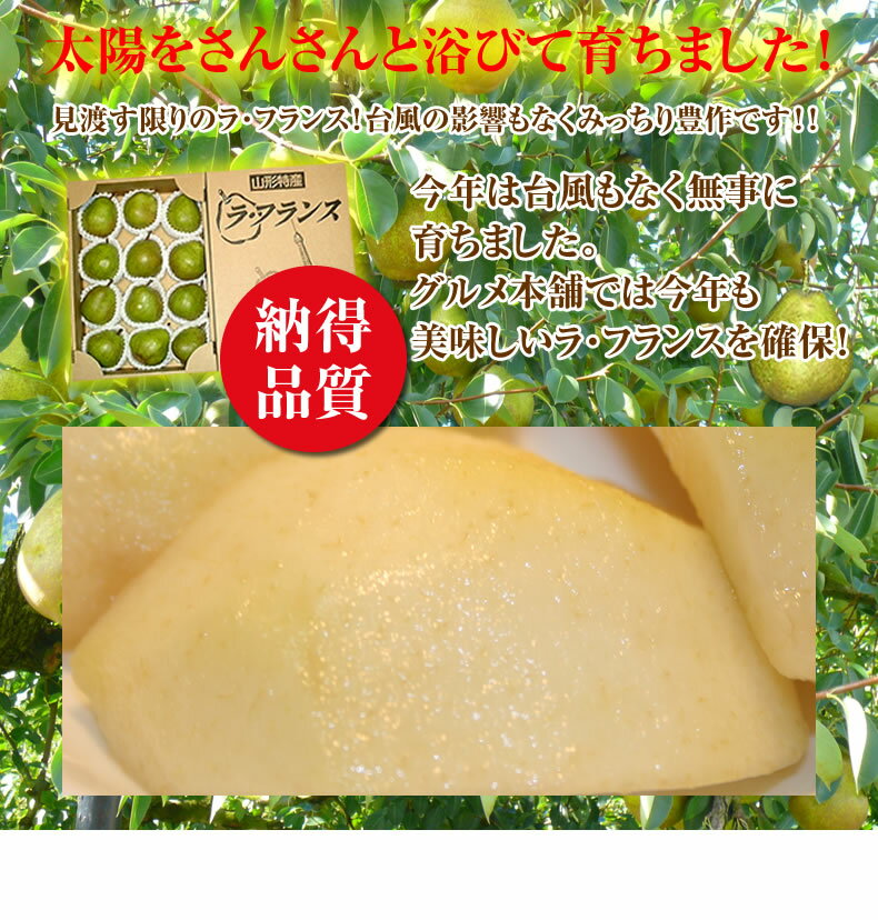 ラフランスの価格はスーパーでいくら 食べ頃の見分け方や追熟方法に冷凍保存はできる 食のエトセトラ