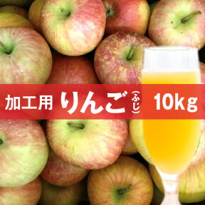 【初売特別価格】数量限定！加工用・生食不可 山形りんご（ふじ）10kg【送料無料】