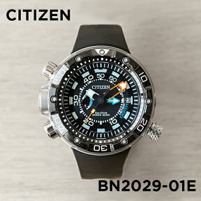 【日本未発売】CITIZEN シチズン プロマスター エコドライブ アクアランド 200M デプスメーター BN2029-01E 腕時計 時計 ブランド メンズ 逆輸入 ダイバー アナログ ソーラー シルバー ブラック 黒 ダイバー 海外モデル ギフト プレゼント