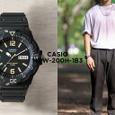 【10年保証】【日本未発売】CASIO STAN