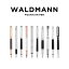 ̤ȯWALDMANN FOUNTAIN PEN ɥޥ ե󥯥ڥ ǯɮ ˺ EF ɮѶ ʸ˼ ֥ С ۥ磻  ֥å     ǥ  ̵