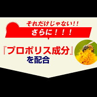 ペニブースト60粒【増大サプリ増大サプリメントサプリ増大メンズ男性精力即効性トンカットアリアルギニンシトルリン粒】/ペニブースト公式