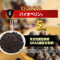 GsCAFEペニブーストプレミアムバイオペリン特許成分増大サプリ男性増大メンズサプリ