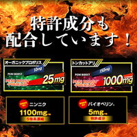 GsCAFEペニブーストプレミアム60粒【増大サプリ増大サプリメントサプリ増大メンズ男性精力即効性トンカットアリアルギニンシトルリン粒】/ペニブーストプレミアム公式