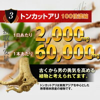 GsCAFEペニブーストプレミアムトンカットアリ60,000mg増大サプリ男性増大メンズサプリ