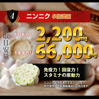 GsCAFEペニブーストプレミアムニンニク66,000mg増大サプリ男性増大メンズサプリ