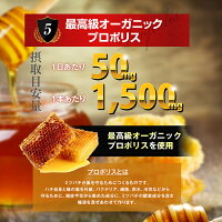 GsCAFEペニブーストプレミアムオーガニックプロポリス1,500mg増大サプリ男性増大メンズサプリ