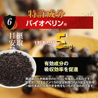 GsCAFEペニブーストプレミアム180粒【増大サプリ増大サプリメントサプリ増大メンズ男性精力即効性トンカットアリアルギニンシトルリン粒】/ペニブーストプレミアム公式