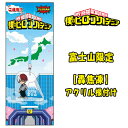 ご当地僕のヒーローアカデミア富士山限定富士山(轟焦凍)アクリル根付け