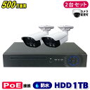 防犯カメラ 500万画素 4CH POEレコーダーSONY製IPカメラ2台セット (LAN接続)HDD 1TB 高画質 監視カメラ 屋外 屋内 赤外線 夜間撮影...