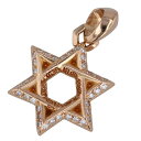 クロムハーツ Chrome Hearts 22K STAR OF DAVID PENDANT P D スターオブダビデペンダント PAEダイヤ ゴールドネック...