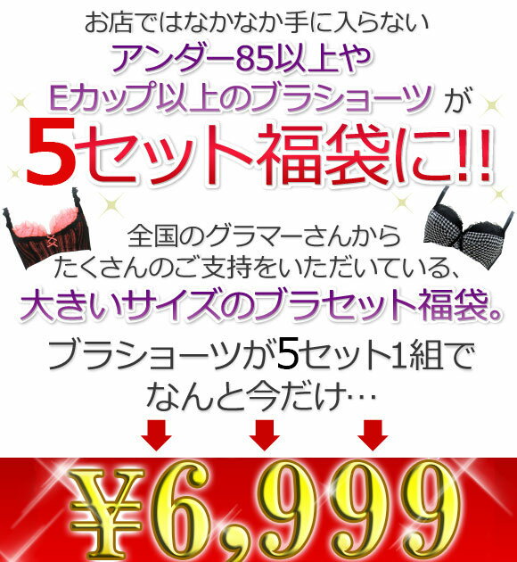 [福袋SALE 送料無料] 下着上下 5点 セット 大きいサイズ レディース ブラジャー&ショーツ 5セット 下着 下着セット 上下セット 福袋 インナー [B85～H100] ブラセット ショーツ レディース 下着福袋 グラマー ブラ福袋 70 75 80 85 90 95 100 B C D E F G H I 3