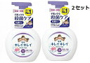 送料無料 2本セット キレイキレイ 薬用泡ハンドソープ フローラルソープの香り 250ml ハンドソープ ハンドウォッシュ 泡 泡タイプ 殺菌 消毒 ソープ LION ライオン 弾力 医薬部外品 保湿 ボトル 本体 ソープ せっけん 手洗い石鹸 手の汚れ バイ菌落とす ウイルス 清潔