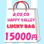 送料無料 レディース　福袋　2024年　限定　a.co.co.　HAPPY VALLEY　アココ　ハッピーバレイ　ラッキ..