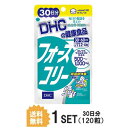 送料無料 DHC フォースコリー 30日分 （120粒）ビタミンB1 ビタミンB2 ビタミンB6 ダイエットサポート コレウスフォルスコリエキス 加..