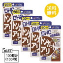 DHC トンカットアリエキス 20日分 （20粒）X5個セット ディーエイチシー サプリメント トンカットアリ 亜鉛 セレン 健康食品 エネルギッシュ 粒タイプ 亜鉛酵母 トンカットアリエキス末 パントテン酸カルシウム 男性用 パワフル まとめ買い 若々しい 老化 加齢 中高年 日本製