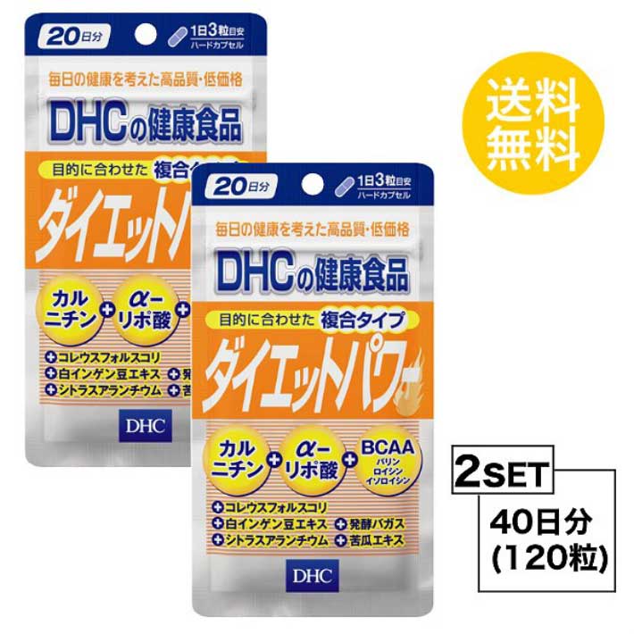 2個セット DHC ダイエットパワー 20日分 （60粒）ディーエイチシー サプリメント ファビノール リポ酸 運動サポート 複合サプリ フォー..