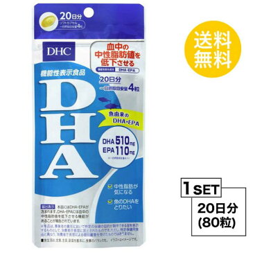 【お試しサプリ】【送料無料】 DHC DHA 20日分 （80粒） ディーエイチシー サプリメント EPA DHA サプリ 健康食品