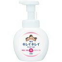 2個セット キレイキレイ 薬用泡ハンドソープ シトラスフルーティの香り 250ml ハンドソープ ハンドウォッシュ 泡 泡タイプ 殺菌 消毒 ソープ LION ...