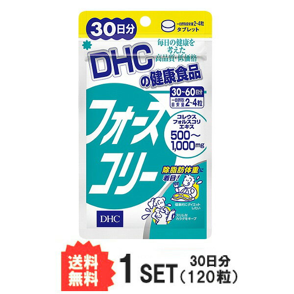 送料無料 DHC フォースコリー 30日分 （120粒）ビタミンB1 ビタミンB2 ビタミンB6 ダイエットサポート コレウスフォルスコリエキス加工..