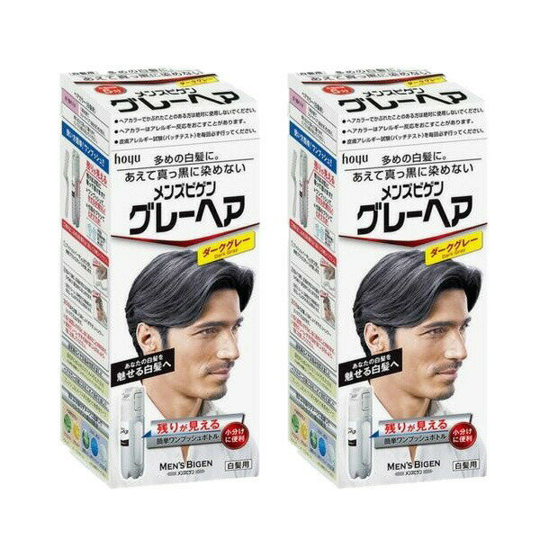 【2セット】 ホーユー メンズビゲン グレーヘア ダークグレー カラーリング ヘアカラー セルフ 白髪染め 白髪 hoyu 医薬部外品 グレーカラー グレー 暗め