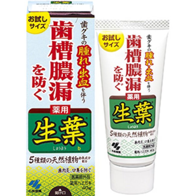 3個セット 生葉 しょうよう 40g X3セット 歯磨き粉 はみがき 歯 歯ぐき 殺菌 口臭 小林製薬 医薬部外品 ハーブミントの香り グリチルリチン酸ジカリウム 5種類の天然植物由来成分を配合 歯槽膿漏を防ぐ薬用ハミガキ ブラッシング