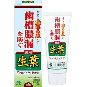 送料無料 2個セット 生葉 しょうよう 100g 歯磨き粉 はみがき 歯 歯ぐき 殺菌 口臭 小林製薬 医薬部外品 5種類の天然植物成分配合 歯槽膿漏、歯肉炎、口臭を防ぐ歯磨き ヒノキチオール ハーブミントの香り シャクヤクエキス、トウキエキス(ひきしめ成分)配合