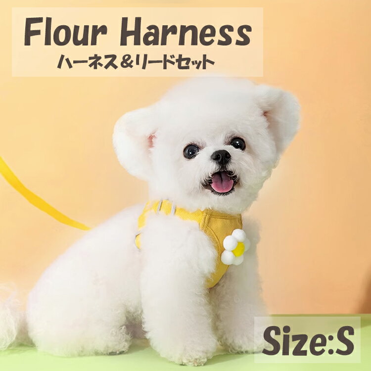 ハーネス リード付き 犬 猫 ワンポイント 抜けない 頑丈 調節 洗える セット 超小型犬 小型犬 通年 黄色 イエロー 送料無料