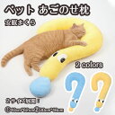 【期間限定で使える10%OFFクーポン】