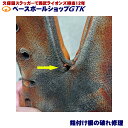 グローブの指股付近の破れを完璧に修理します 修理実績20年オーバー GTK