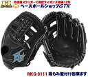 ハイゴールド 軟式グローブ 少年用 RKG-3111 ブラック ショートクロス2Jウェブ サイズS-M ルーキーズ 野球 GTK