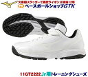ミズノ トレーニングシューズ 11GT2222 18cm~23cm ジュニア用 軽くて柔らかな足入れ 野球 GTK