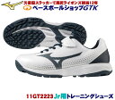 ミズノ トレーニングシューズ 11GT2223 18cm〜23cm ジュニア用 軽くて柔らかな足入れ 野球 GTK