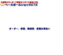 追加代金19100円 野球 GTK