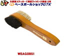 ワールドペガサス メンテナンス用品 両面ブラシ WEAGOBS1 汚れ落としと仕上げ磨きがこれ一つ 野球 GTK
