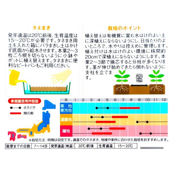 【特価品：有効期限2026年10月末日】【サカタのタネ】金魚草　パレード ミックス（...