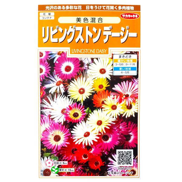 G-TOP㤨֡ڥΥ͡ۥӥ󥰥ȥǡ0.2mlˡ͹ء͹ؤǤȯΤ̵۲/ƥ/ץ󥿡/ּ//ʪ//ǥ˥/٥˥ϥ/ĥʲ/ȾѴ1ǯ/դޤ/ޤ/γܰ¡290γ/907820פβǤʤ390ߤˤʤޤ