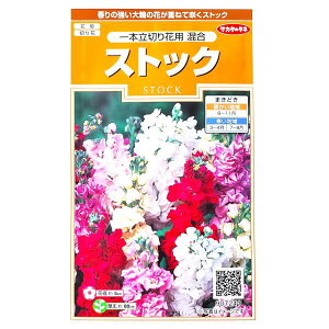 【サカタのタネ】ストック　一本立切り花用　混合（0.1ml）【定形郵便・定形外郵便での発送のみ送料無料】花壇/切り花/花種/種子/植物/栽培/ガーデニング/自宅で/アラセイトウ/アブラナ科/半耐寒性1年草/春まき/夏まき/秋まき/粒数目安：22粒/907241