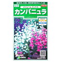 【サカタのタネ】カンパニュラ　メジューム　ミックス（0.2ml）【定形郵便・定形外郵便での発送のみ送料無料】花壇/切り花/花種/種子/植物/栽培/ガーデニング/フウリンソウ/キキョウ科/春まき/夏まき/耐寒性1～2年草/粒数目安：310粒/906220