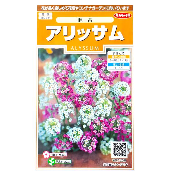 【サカタのタネ】アリッサム　混合（0.3ml）【定形郵便・定形外郵便での発送のみ送料無料】花壇/コンテナ/プランター/花種/種子/植物/栽培/ガーデニング/自宅で/ニワナズナ/アブラナ科/耐寒性1年草/春まき/秋まき/採苗本数：およそ200本/907050