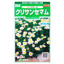 【サカタのタネ】クリサンセマム　ノースポール（0.2ml）【定形郵便・定形外郵便での発送のみ送料無料】花壇/コンテナ/プランター/花種/種子/植物/栽培/ガーデニング/自宅で/半耐寒性1年草/キク科/春まき/秋まき/採苗本数：およそ80本/906310