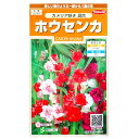 【サカタのタネ】ホウセンカ カメリア咲き 混合（1ml）【定形郵便 定形外郵便での発送のみ送料無料】花壇/コンテナ/プランター/花種/種子/植物/ガーデニング/自宅で/鳳仙花/ツリフネソウ科/混合種/春まき1年草/粒数目安：65粒/907590