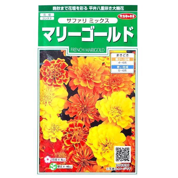 【サカタのタネ】マリーゴールド　サファリ ミックス（0.7ml）【定形外郵便での発...