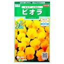 【サカタのタネ】ビオラ ピエナ イエロー(20粒)【定形郵便...