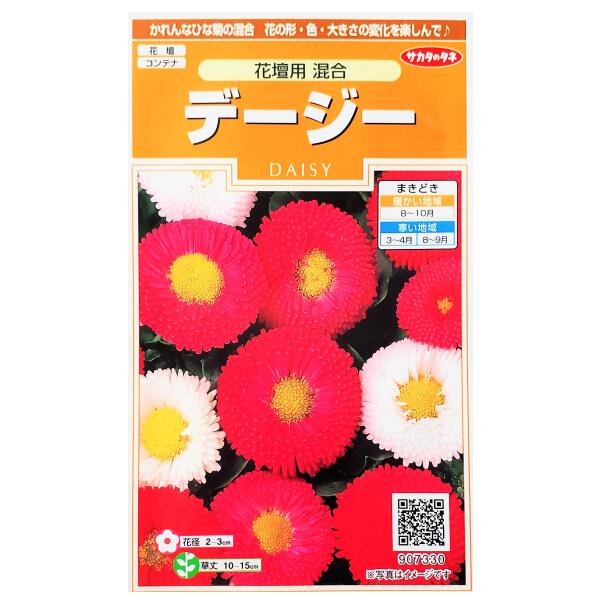 【サカタのタネ】デージー　花壇用　混合（0.1ml）【定形郵便・定形外郵便での発送のみ送料無料】花壇/コンテナ/プランター/花種/種子/植物/栽培/ガーデニング/自宅で/春まき/夏まき/秋まき/耐寒性1年草/キク科/ヒナギク/ひな菊/雛菊/採苗本数：およそ100本