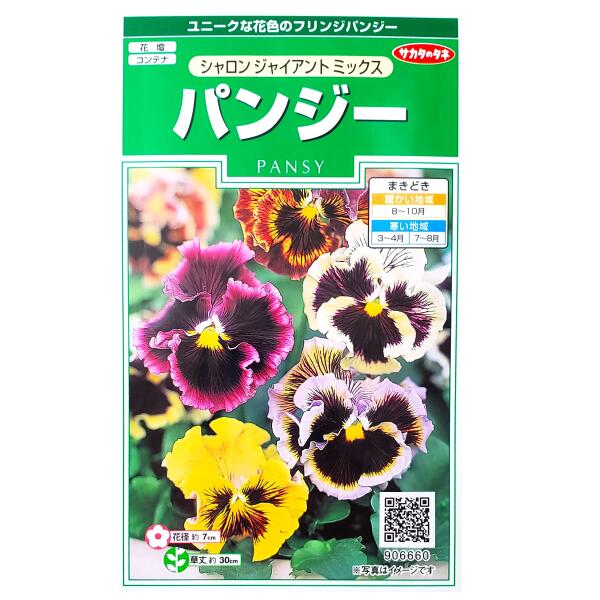 パンジーの育て方 種まき 植え方から教える初心者向け育て方講座 暮らし の