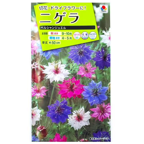 ニゲラ 春の花壇を彩る青い花 早速種から育ててみよう アタマの中は花畑