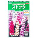 【サカタのタネ】ストック 切り花用 早生系 混合（0.2ml）【定形郵便 定形外郵便での発送のみ送料無料】花壇/切り花/切り花用/花種/種子/植物/栽培/ガーデニング/アラセイトウ/アブラナ科/半耐寒性1年草/春まき/夏まき/秋まき/採苗本数：およそ25本/906475