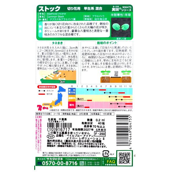 【サカタのタネ】ストック　切り花用 早生系 混合（0.2ml）【定形郵便・定形外郵便...